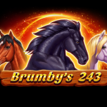 Brumby S 243