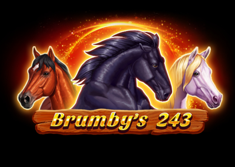 Brumby S 243