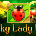 Lucky Lady Bug