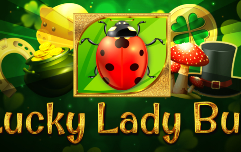 Lucky Lady Bug