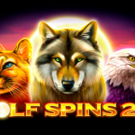 Wolf Spins 243