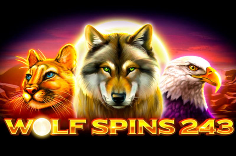 Wolf Spins 243